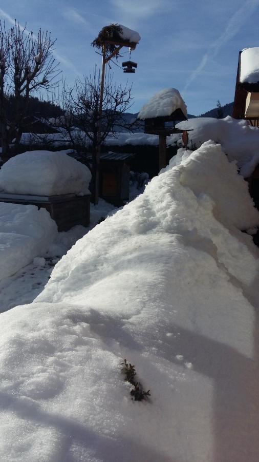 Ferienwohnung Bliem Altenmarkt im Pongau Bilik gambar